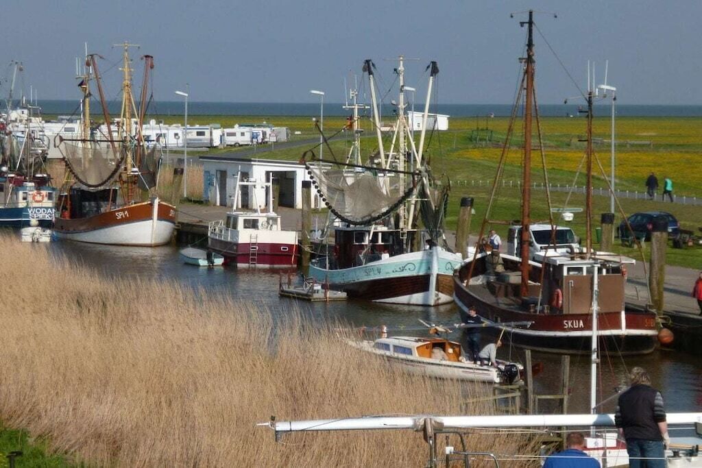 A marina with several boats docked, a grassy area in the background, and a clear sky.