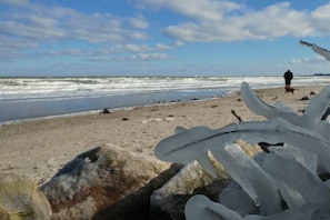 A beach with a rocky foreground and a person walking in the distance. - Holiday apartment with 2 bedrooms (Kappeln)