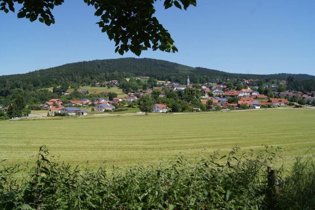 A rural landscape with a village, green fields, and a hill in the background.