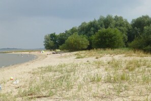 A beach with a sandy shore, a grassy area, and a line of trees in the background. - Holiday apartment with 2 bedrooms (Elbinsel Krautsand)