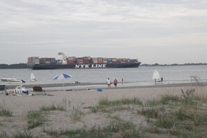A cargo ship labeled 'NYK LINE' docked at a beach with beach chairs and umbrellas. - Holiday apartment with 2 bedrooms (Elbinsel Krautsand)