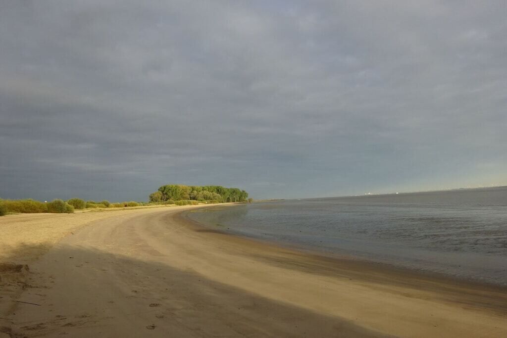 A sandy beach with a curved shoreline and a line of trees in the distance.