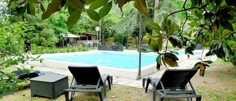 A swimming pool with lounge chairs and a small table, surrounded by greenery.