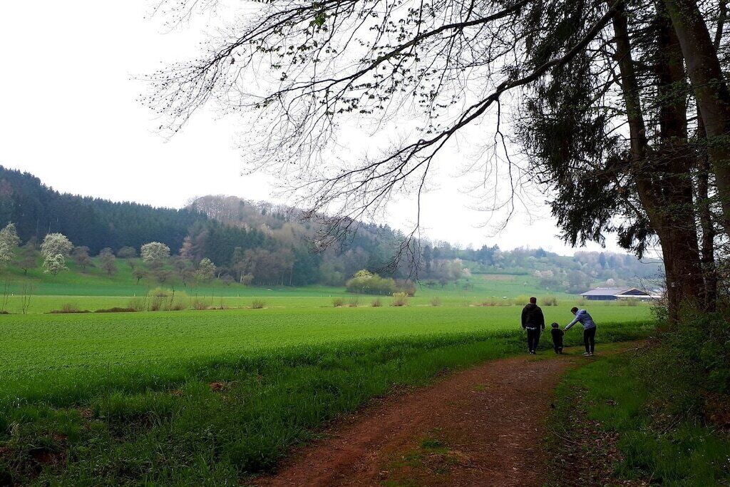 Ländliche Landschaft mit einem Feldweg, der durch ein grünes Feld führt, umgeben von Bäumen und Hügeln in der Ferne.