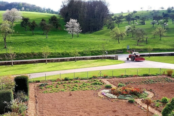 A rural landscape with a tractor on a paved path, surrounded by green fields and trees.
