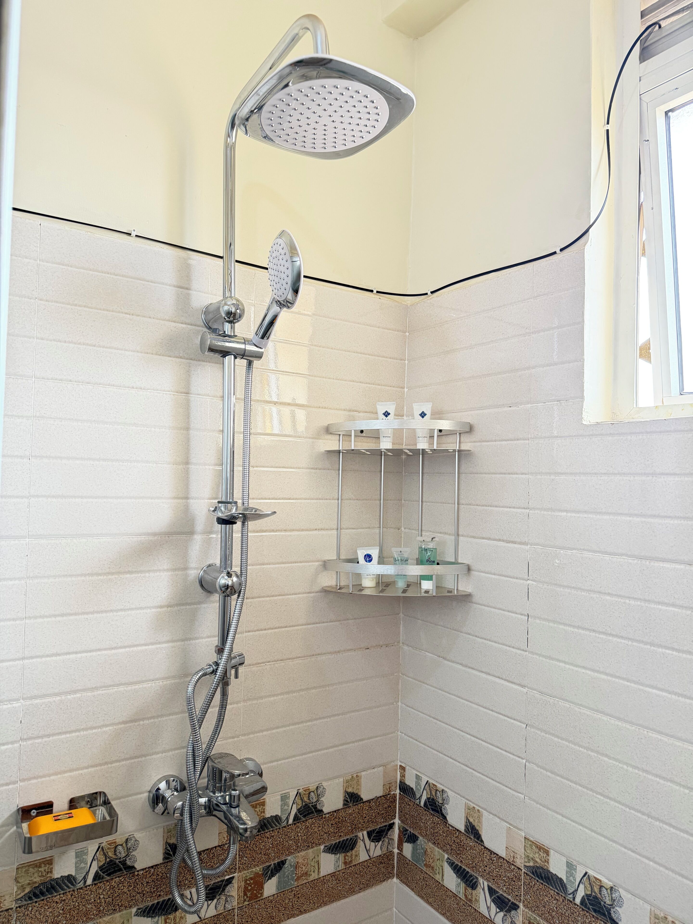Une douche équipée d’un pommeau de douche à main et d’un pommeau de douche mural en forme de pluie.