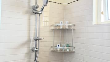 Une douche équipée d’un pommeau de douche à main et d’un pommeau de douche mural en forme de pluie.