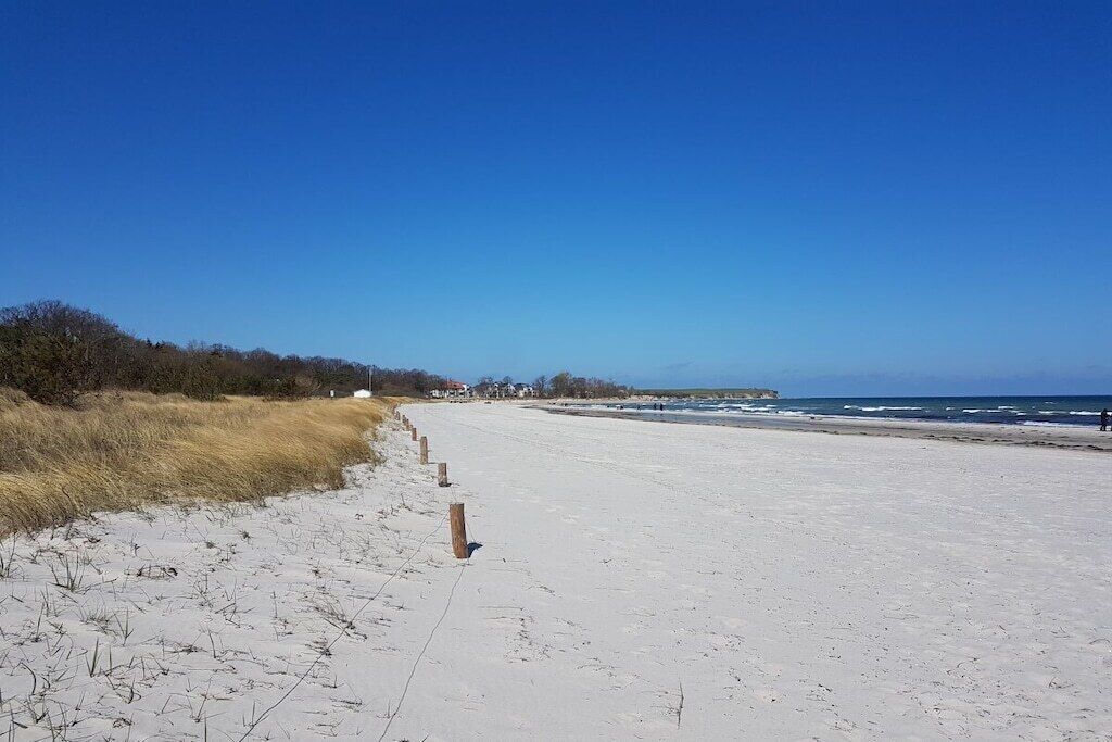 A sandy beach with a wooden fence and a clear blue sky.