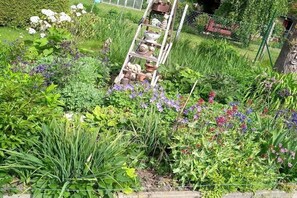 Ein Garten mit verschiedenen Pflanzen und Blumen, einer Holzleiter und einem Metallzaun.