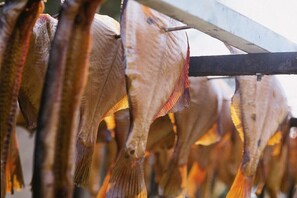 A row of dried fish hanging on a rack. - Beach Villa Miramare / Apt. Sea Urchin (Klütz)