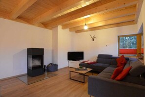 A modern living room with a fireplace, a television, and a sofa. - Holiday home with 3 bedrooms (Lechbruck am See)