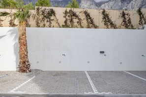 Ein Parkplatz mit drei markierten Stellplätzen, einer Palme und einer mit Vegetation bewachsenen Mauer.