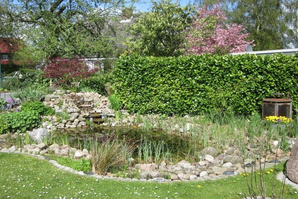 A garden with a pond, rocks, and various plants.