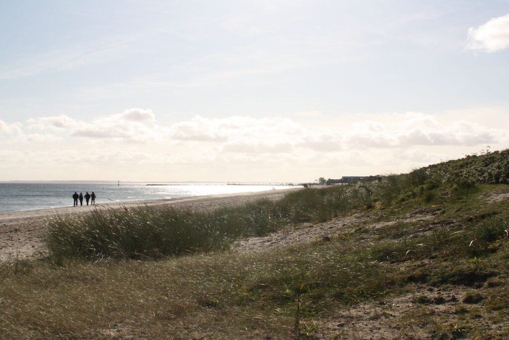 A beach with a grassy foreground and a clear sky.