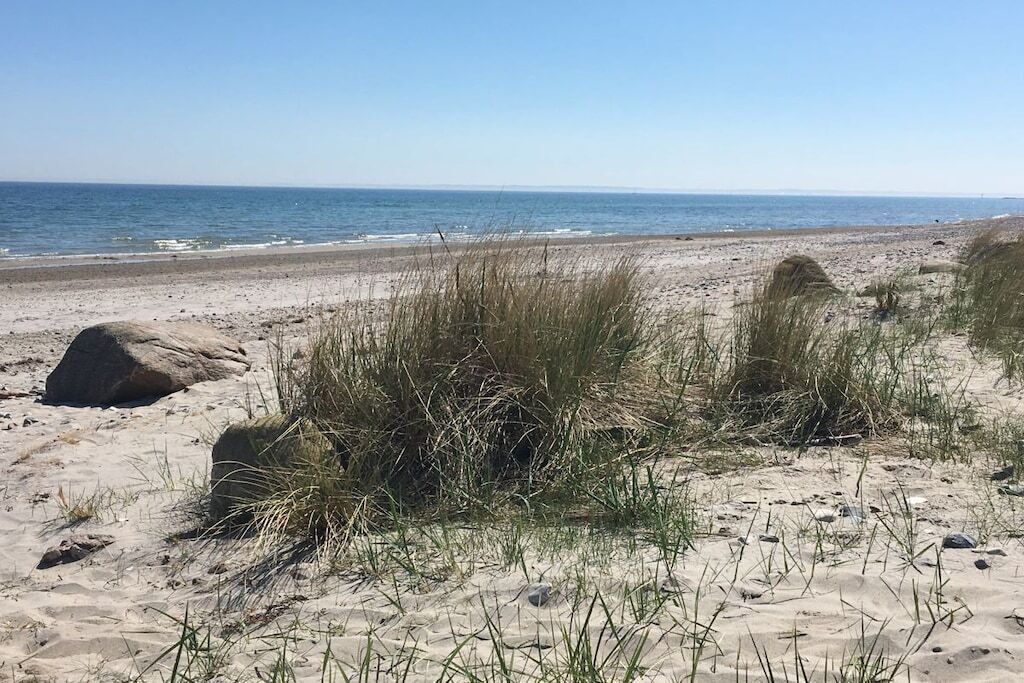 A sandy beach with sparse vegetation and a clear sky.