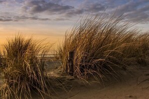A sandy landscape with tall grasses and a wooden post. - Holiday apartment with 2 bedrooms (Norden)