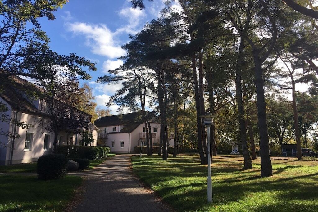 Ein Weg führt zu einem Gebäude im traditionellen Baustil, umgeben von Bäumen und einem klaren Himmel.