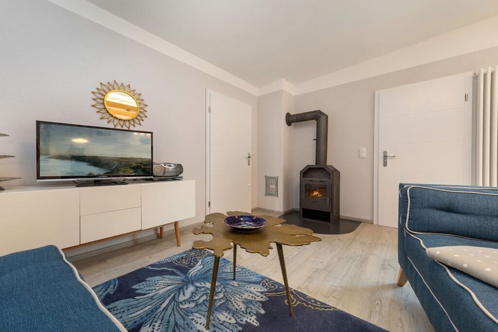 Smart TV, fireplace, books