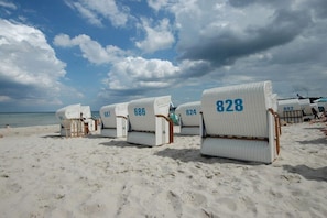 Beach chairs with numbers on them lined up on a sandy beach. - Holiday apartment in Binz with swimming pool (Binz)