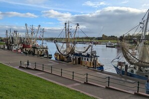Un port de plaisance situé au bord de l’eau, où sont amarrés plusieurs bateaux de pêche.