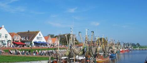 A harbor with boats docked along the waterfront, a crowd of people on the shore, and buildings in the background.