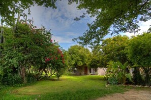 A lush garden with a variety of trees and shrubs, a clear sky, and a building with a door in the background.