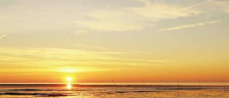 Ein Sonnenuntergang über einem Strand mit ruhigem Wasser und wolkenlosem Himmel.