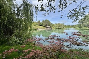 Un entorno tranquilo junto al lago con un muelle de madera y un pequeño edificio, rodeado de exuberante vegetación.