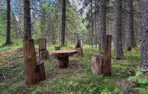 Ein rustikaler Essbereich im Freien mit einem Holztisch und -bänken, umgeben von hohen Bäumen in einer Waldlandschaft.