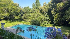 Ein Schwimmbecken, umgeben von üppigem Grün und blühenden Pflanzen.