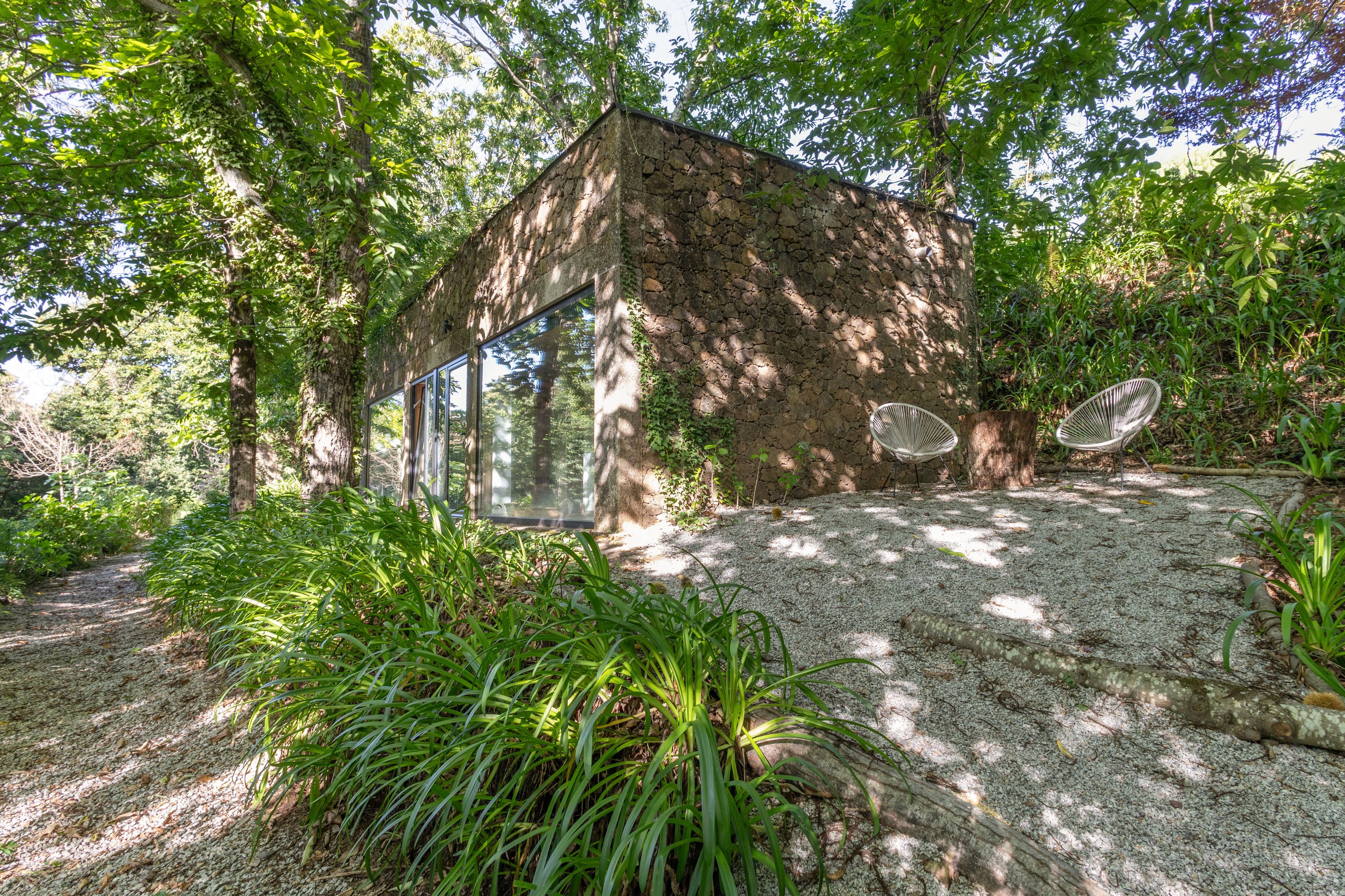 Un chalet rustique doté d’une fenêtre en verre, entouré d’une végétation luxuriante et bordé d’un chemin de gravier.