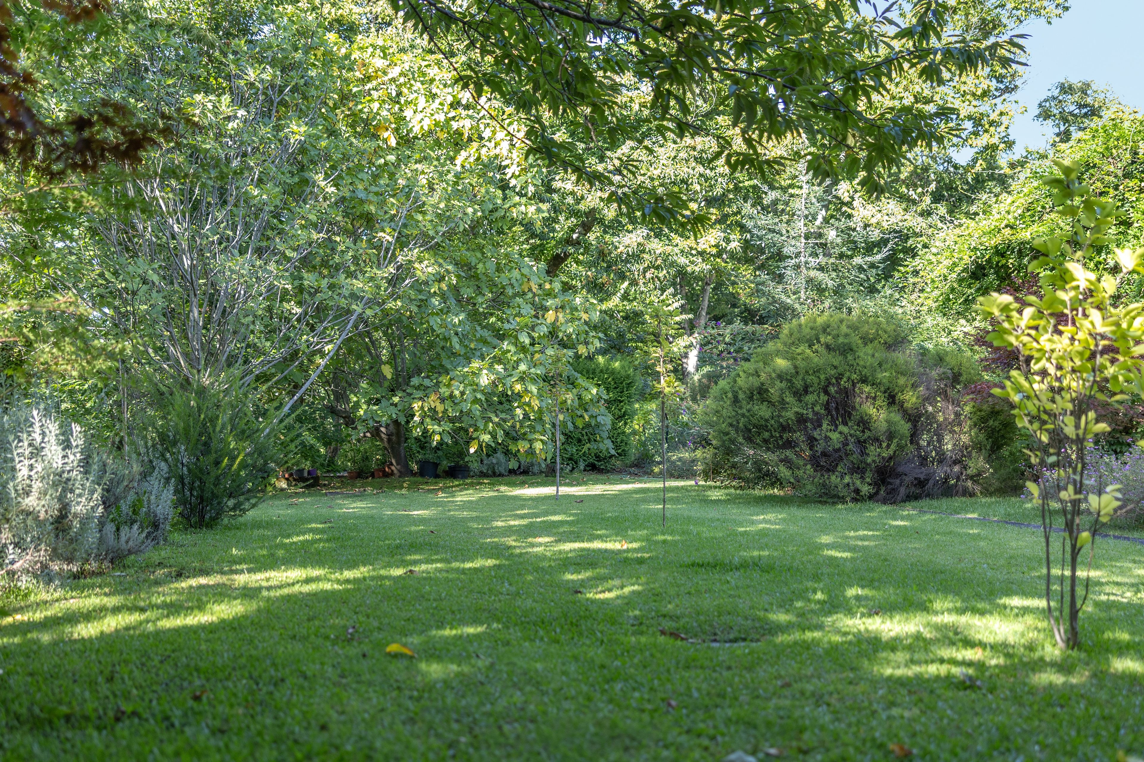 Une zone verdoyante bien entretenue, avec des arbres et des arbustes, qui fait probablement partie d’un parc ou d’un jardin.