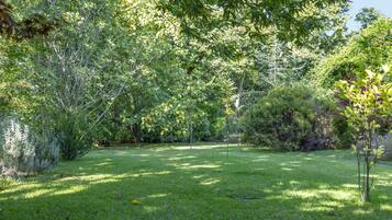 Une zone verdoyante bien entretenue, avec des arbres et des arbustes, qui fait probablement partie d’un parc ou d’un jardin.