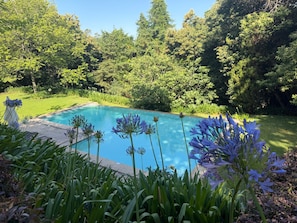 En swimmingpool omgivet af frodig vegetation og blomstrende planter.