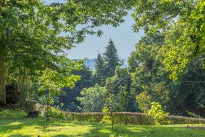 Een weelderig groen landschap met dichte bomen en een heldere lucht.