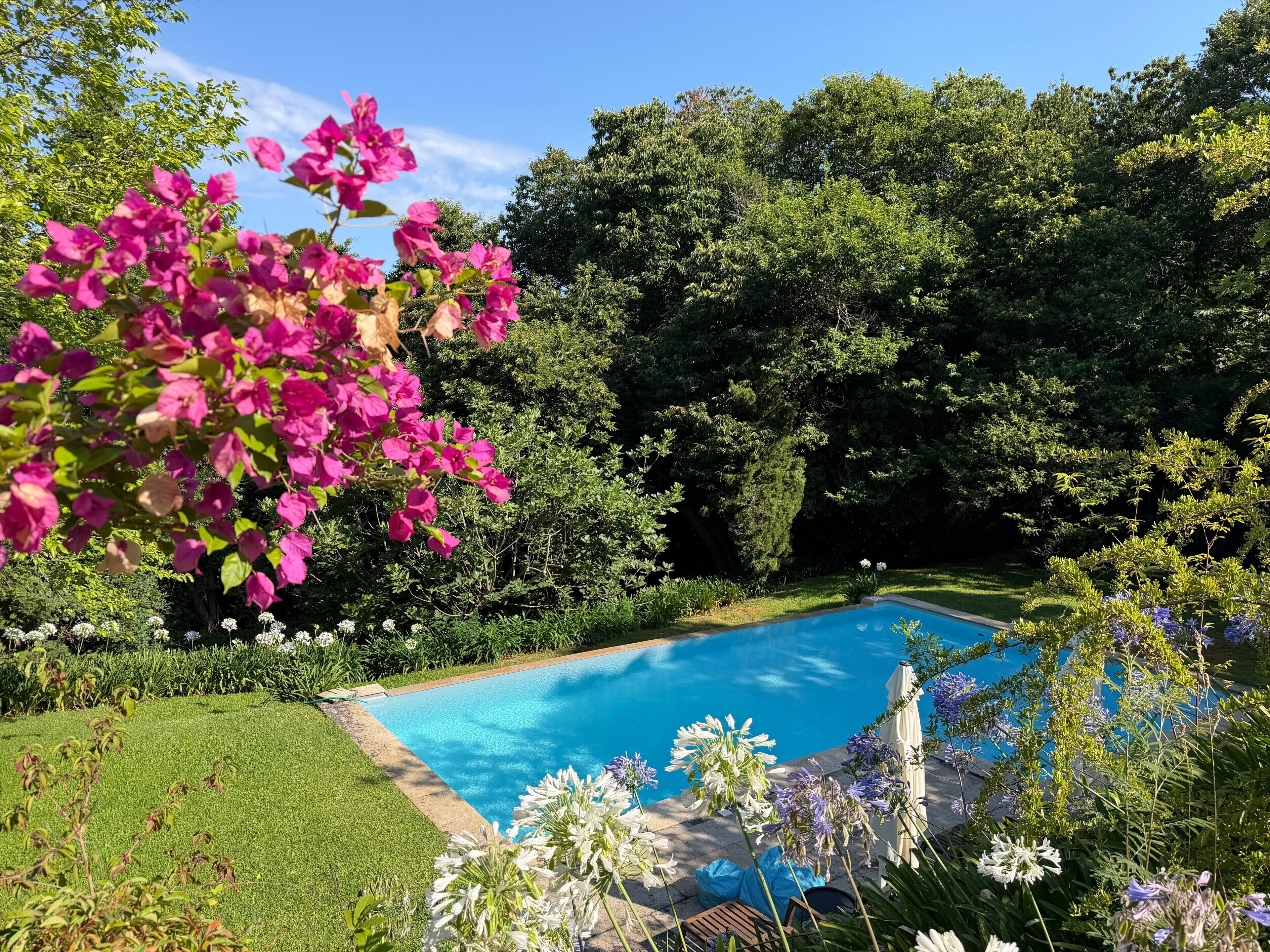 En swimmingpool omgivet af frodig vegetation og blomstrende planter.