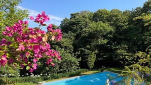 Une piscine entourée d’une végétation luxuriante et de plantes en fleurs.