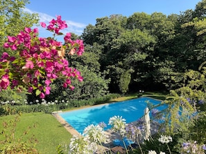 En swimmingpool omgivet af frodig vegetation og blomstrende planter.