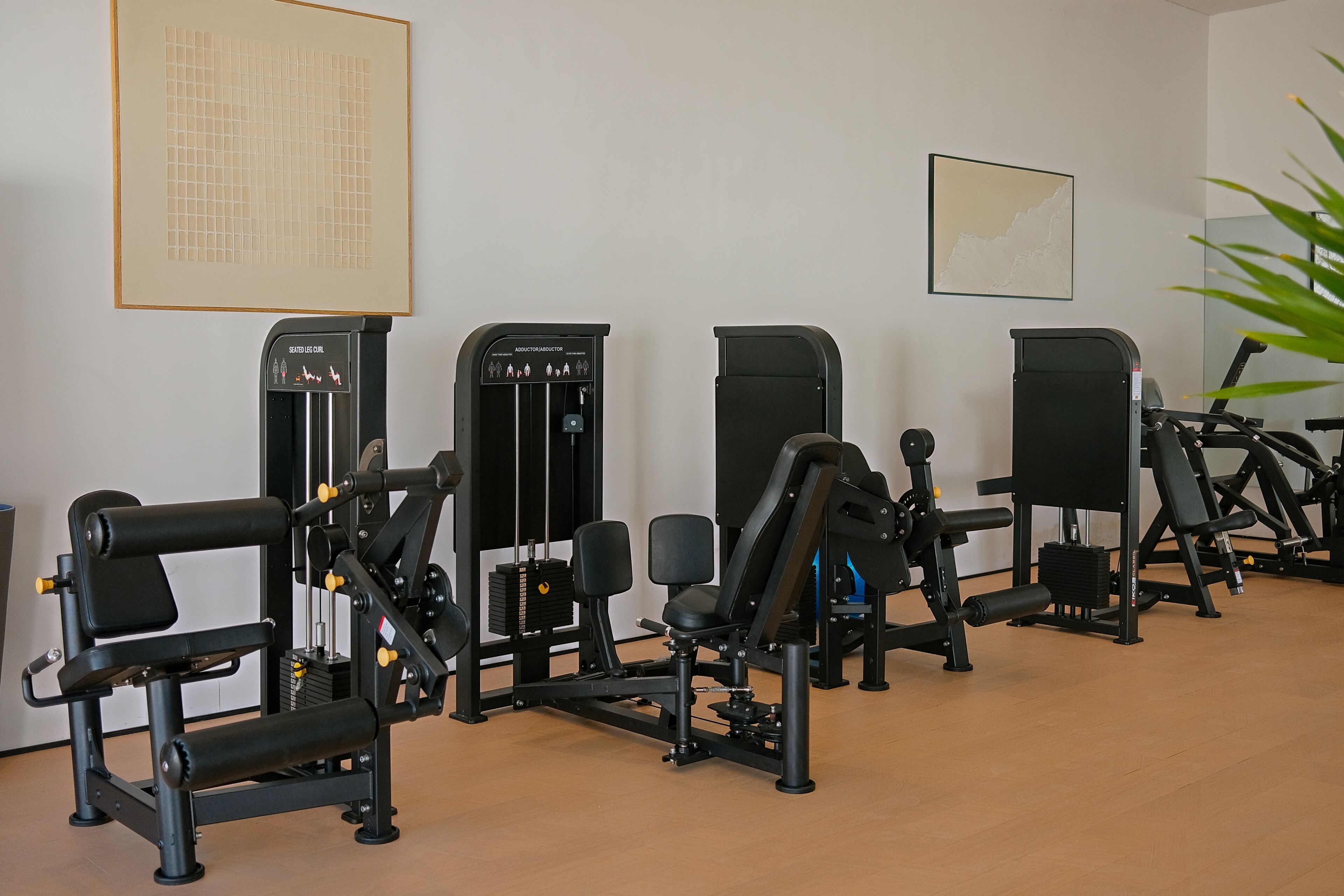 A gym with various exercise machines and a large plant in the corner.