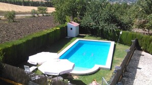 A rectangular swimming pool with a small adjacent shed, surrounded by well-maintained hedges and a grassy area with a bench and lounge chairs.