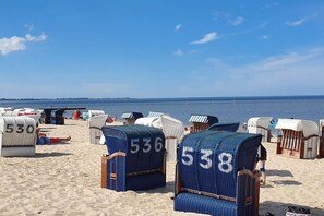 Strandstoelen met de nummers 536 en 538 op een zandstrand.