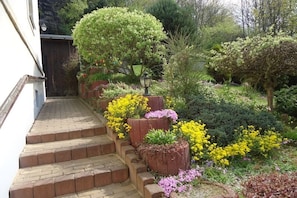 Un jardin avec un chemin en briques menant à une maison, entouré de différentes plantes et arbustes.