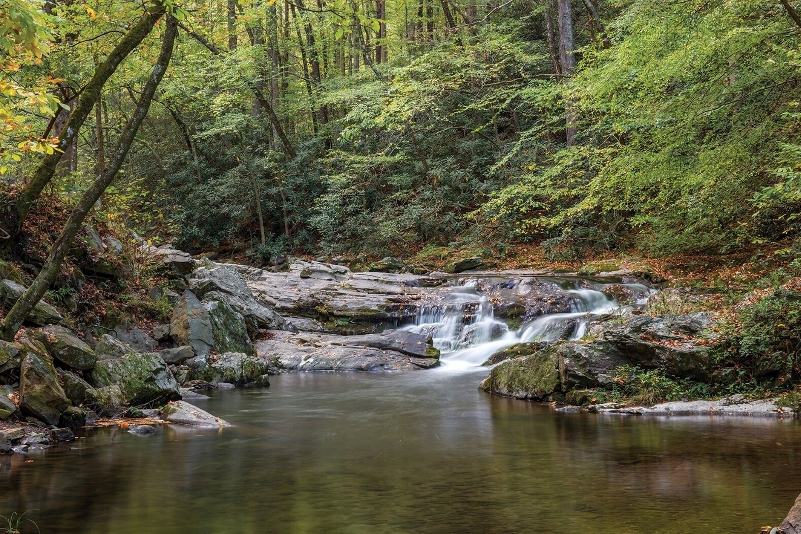 Eine natürliche Landschaft mit einem kleinen Wasserfall, umgeben von dichtem Wald und Felsen.