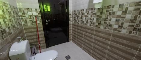 A bathroom with a toilet, bidet, and a shower area.