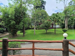 Un exuberante jardín con diversas especies de árboles y un edificio pequeño al fondo.