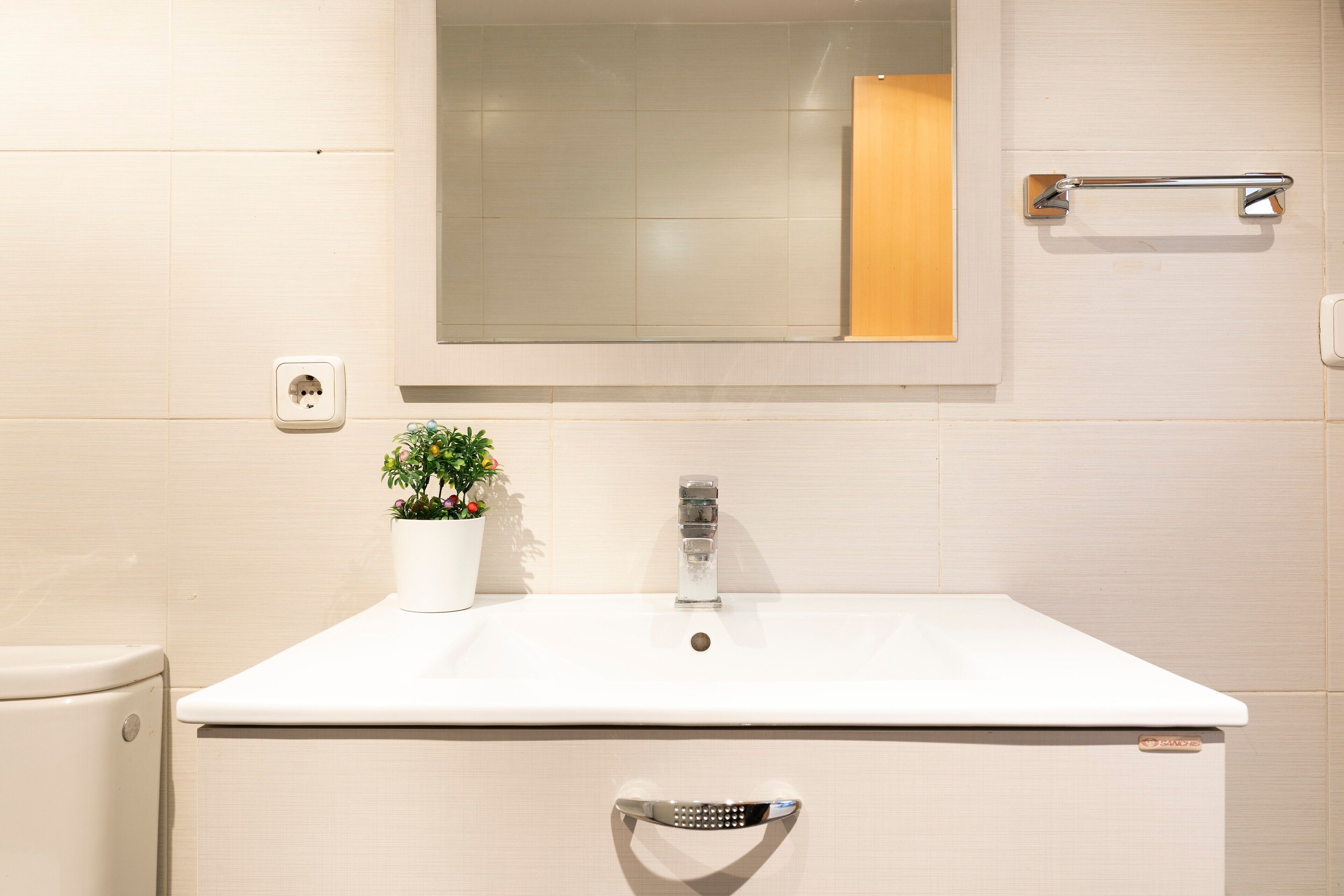 A bathroom with a white sink, a mirror, a towel rack, and a potted plant.
