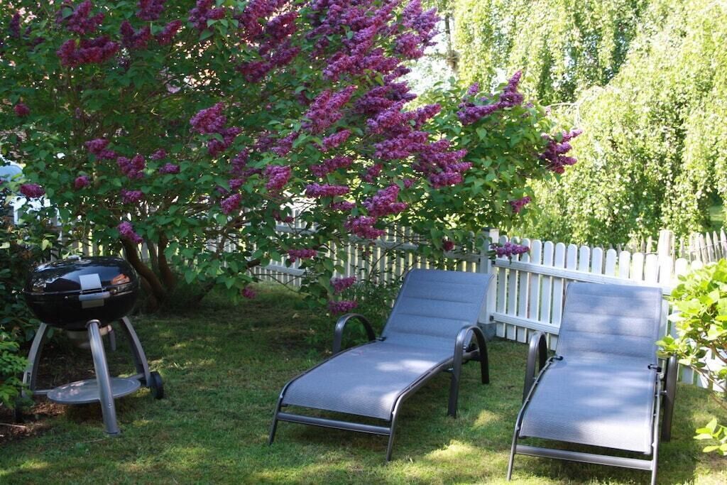 Ein Garten mit Grill, zwei Liegestühlen und einem Baum mit violetten Blüten.