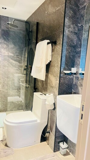 A modern bathroom with a glass-enclosed shower, a toilet, and a sink.