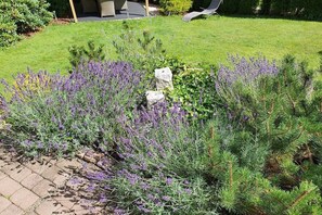 A garden with lavender plants and pine trees. - Holiday apartment with 2 bedrooms (Braunlage)