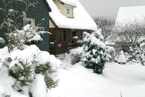 A house with a sloped roof covered in snow, surrounded by snow-covered trees and bushes. - Holiday apartment with 2 bedrooms (Braunlage)